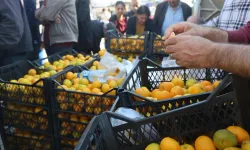 Mandalina tarlada 2 liraya düştü: Üretici elindeki ürünü ücretsiz dağıttı