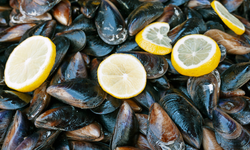 İstanbul'daki facianın ardından Başkentlilerin aklındaki soru... Ankara'da midye yenir mi?