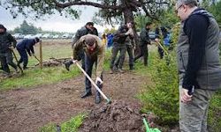 Türkiye’de rekor kırıldı: 15 milyon fidan toprakla buluştu!