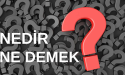 Selenge ne demek? Hangi dilde? Ne anlama gelmektedir? İsmi kaç kişide var?