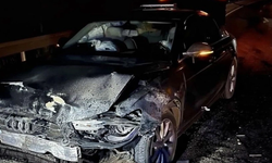 Sinop Belediye Başkanı Metin Gürbüz’ün makam aracı, domuz sürüsüne çarptı!