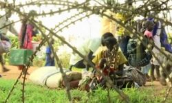 Sudan’da RSF ateşkesi kabul etti!