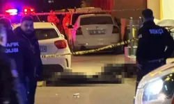 Van’da otelde çıkan tartışma cinayete dönüştü: Avukat baba ile oğlunu öldürdü