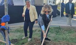 "YEŞİL" BİR YENİMAHALLE İÇİN TÜM HALK SEFERBER OLDU