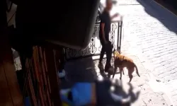 Beyoğlu'nda vicdansız gasp: Bayılınca telefonunu aldılar, polis yakaladı