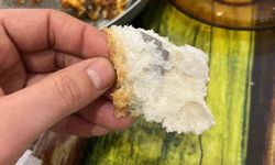 Aile kahvaltısında faciadan dönüldü: Ekmeğin içinden çıkanı görünce şok oldu