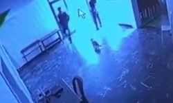 Alacakaya’da görevlinin kediye tekme attığı anlar kamerada