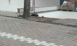 Çöpe atmak isterken servet buldu: kargo poşetinden 60 bin dolar çıktı