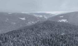 Ilgaz Dağı beyaza büründü! Kartpostallık manzara havadan görüntülendi