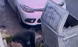 Pendik’te şaşırtan görüntü: Boruyu kesti, sonra tamire geldi