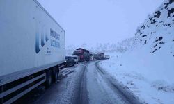 Şırnak-Hakkari yolunda kar kabusu: Araçlar yolda mahsur kaldı