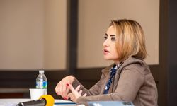 Alin Ozinian kimdir, nereli, kaç yaşında? Babası kimdir? Eşi kimdir?