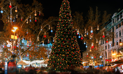 Ankara'da aralık ayı böyle yaşanır! Soğuk havalarda içinizi ısıtacak aktiviteler...