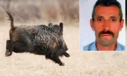 Ava çıkan adam yaban domuzu saldırısında hayatını kaybetti