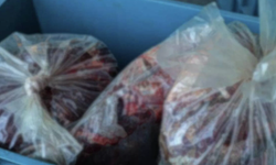 Antalya’da yolcu otobüsünün bagajından 275 kilo kaçak et çıktı