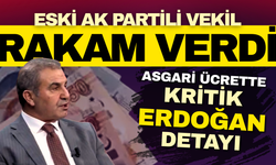 Eski AK Partili vekil rakam verdi: Asgari ücrette kritik Erdoğan detayı!