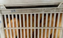 Ankara’da Halk Ekmek’te hijyen skandalı: Kirli kasalarla taşınan ekmekler tepki topladı