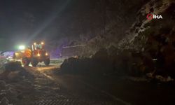 Artvin’de heyelan: Borçka-Hopa karayolu ulaşıma kapandı