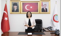 Yalova Valisi kimdir? Hülya Kaya nereli, kaç yaşında?