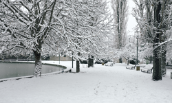 Ankara kara hasret kaldı! İşte başkentte son 5 yılda yaşanan kış mevsimi...
