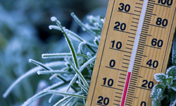 Kutup girdabı yaklaşıyor! Ankara'da soğuk hava alarmı