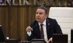 Taburcu edilir edilmez ifade verdi... Muhittin Böcek’ten dikkat çeken savunma