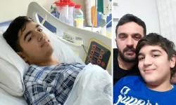 Doğadan topladı felaketi oldu: Tek bir tanesi karaciğerini yok etti