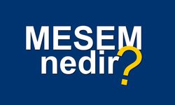 MESEM nedir? MESEM maaşı ne kadar? Kimler başvurabilir?