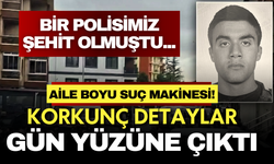 Polis memurunun şehit edildiği olayda evler silah deposu çıktı