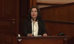 Prof. Dr. Şule Özsoy Boyunsuz kimdir? Şule Özsoy Boyunsuz nereli, kaç yaşında?