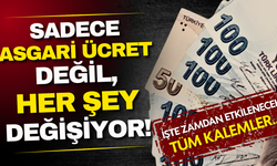 Sadece asgari ücret değil her şeyi değişecek! İşte zamdan etkilenecek tüm kalemler