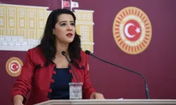Sevda Karaca Demir kimdir? Nereli? Kaç yaşında? Eşi kimdir?