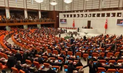 DEM'li vekilden dikkat çeken itiraf: "Ben dahil 499 milletvekili çift maaş alıyor"