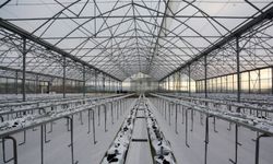 Kahramankazan’da modern tarım hamlesi! Termal sera ile verimli üretim başlıyor