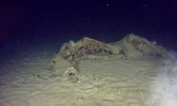 1975’te düşen THY ‘Bursa’ uçağının enkazına ait yeni parçalar görüntülendi