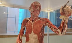 Hacettepe’de bir yaşamın hafızası: Biyosfer Müzesi