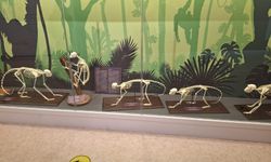 Sömestir tatilinde Ankara’da kaçırılmaması gereken kültür bilim ve eğlence rotaları