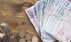 BES’te devlet katkısı düşürüldü mü? Bireysel Emeklilik Sistemi’nde oran yüzde 20’ye çekildi