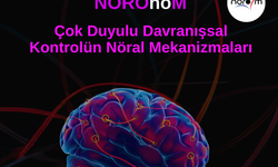 NÖROnoM semineri: Çok duyulu davranışsal kontrolün nöral mekanizmaları ele alınacak
