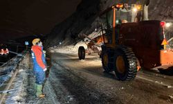 Van-Bitlis Karayolunda Çığ Paniği!