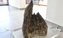 “Kendiliğinden Kendi” sergisi Ankara’da