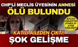 CHP'li meclis üyesinin annesi evinde ölü bulunmuştu... Boğazını kesen yeğeniymiş!