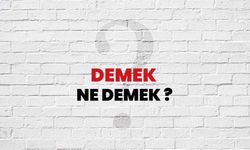 Etabli ne demek? TDK sözlük anlamı nedir, etabli sorunu nedir?