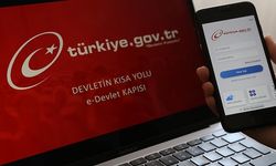 E-Devlet’in kopyalarıyla dolandırıcılığa dikkat! Uzmanından kritik uyarılar