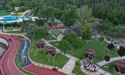 Ankara'nın ortasında doğal yaşam: Nesli tehlikedeki türler Keçiören'de yaşatılıyor