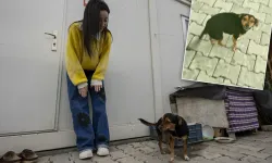 Hanimiş benim tontişim şarkısını söyleyen Fatma Arat kimdir, nereli? Ne iş yapıyor?