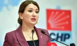 CHP’li Gökçe Gökçen'inn Avrupa Konseyi'nde Türkiye eleştirisi olay oldu!