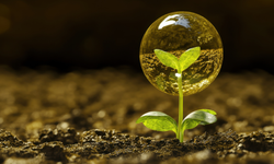 Ankara Yıldırım Beyazıt Üniversitesi Erasmus+ ile genç yeşil liderler yetiştirecek