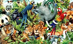 İlk yaratılan hayvan kimdir? İlk yaratılan hayvan hangisidir?