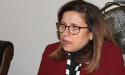 İlay Aksoy kimdir? Kaç yaşında, nereli? Eşi kimdir? Babası kimdir?